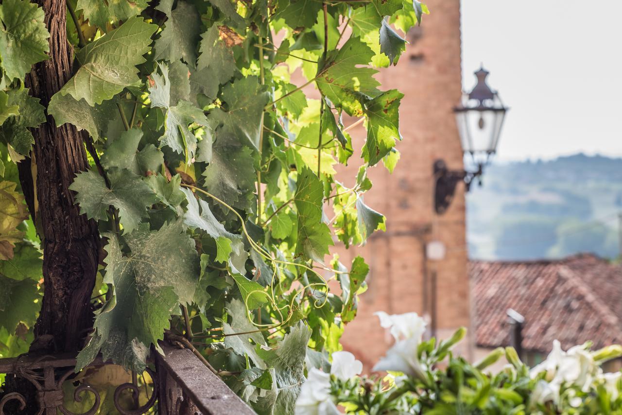 B&B Antico Tralcio Antignano  外观 照片